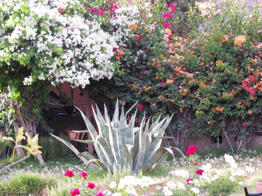 Le Jardin Des Epices Taroudant Exterior foto